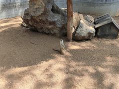 -竹泉村旅游度假区