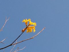 -天河沃尔玛
