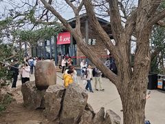 -紫金山山顶公园