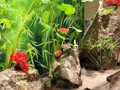 -国人川菜(李家村建东街店)