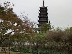 -上海方塔园