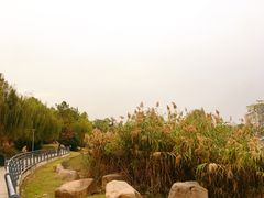 -美兰湖景区