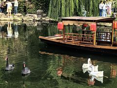 景点-水绘园