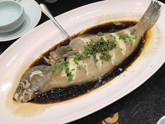 -泰山廊亦舫(丽景店)