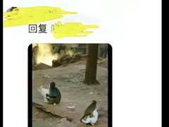-昆明动物园