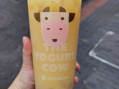 -一只酸奶牛(奎星楼店)