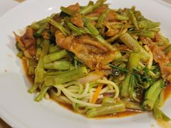 沙茶牛肉炒面-台北楚楚园馅饼粥(虹桥南丰城店)