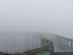 -王莽岭风景区