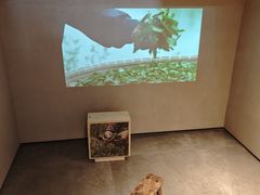 -阿嬷手作(南宁百盛印象城店)