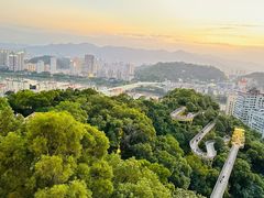 -福道