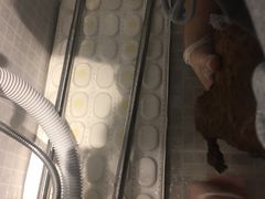 -PETKIT 小佩宠物·低压洗护·美容·寄养(安远店)