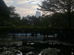 -深圳国际园林花卉博览园