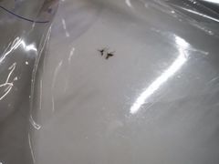 -老东风菜馆·潮汕大排档