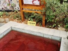 -嘉和K6温泉微度假