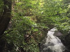 -藏龙百瀑风景区