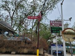 -广东惠东海龟国家级自然保护区