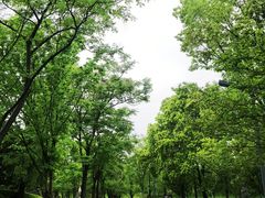 -洋湖国家湿地公园
