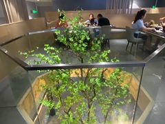 -稻早料理美术馆(城阳店)