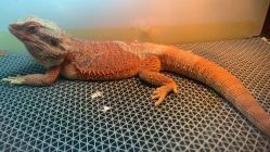 -酷嗒动物文化乐园(cutezoo西溪乐天城店)