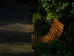 IMGP5871_filtered-徐家汇源景区-衡山公园