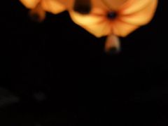 -乾州食府(小雁塔店)