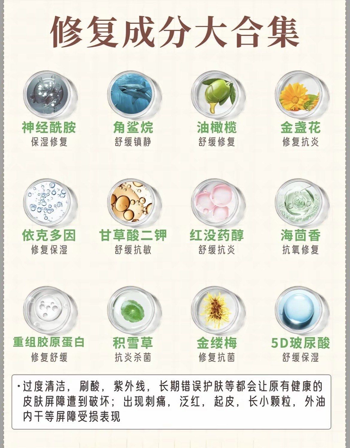 哪些成分具有修护功效?看过来吧