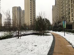 小区环境-仁恒西郊花园