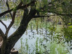 -台州府城(东湖)