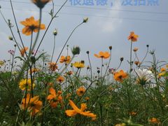 -成都冰纷万象滑冰场