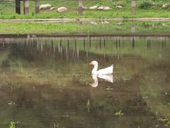 -厦门国家会计学院