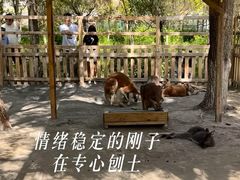 -水上乐园·欢乐世界