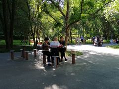 -渭滨公园