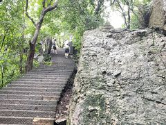 -紫金山山顶公园