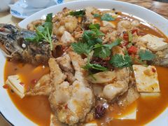 -煲来饱去冷水鱼