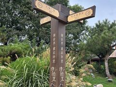 -诗经里