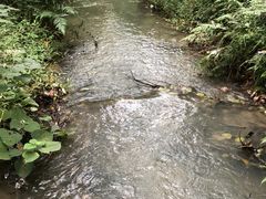-同里国家湿地公园