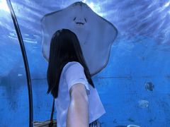 -重庆欢乐海底世界