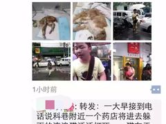 盛京一禾-盛京一禾