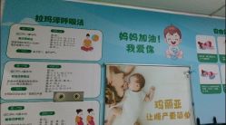 -玛丽亚妇产医院