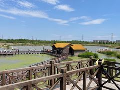 -宁波杭州湾国家湿地公园