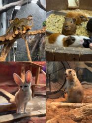 -Zoolung Zoolung动物主题公园(海信广场店)