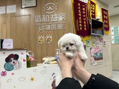-谐和益家动物医院·免疫绝育·血液透析·宠保定点医院(高新伊藤分院)