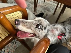 -食锦记·福建私房菜(浦西万达店)