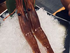 -银子铁板烧料理自助餐(人民广场店)