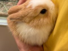 -龙猫仔乐园(惠福东路店)