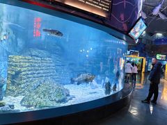 -烟台海昌鲸鲨海洋公园