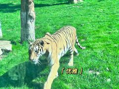 -北京野生动物园