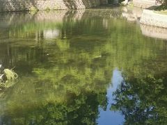 -白水寺森林公园