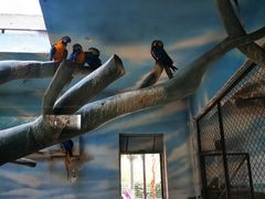 -石家庄市动物园