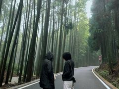 -山王坪喀斯特国家生态公园